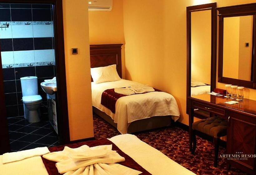 Трехместный Номер Deluxe, Artemis Resort Wellness