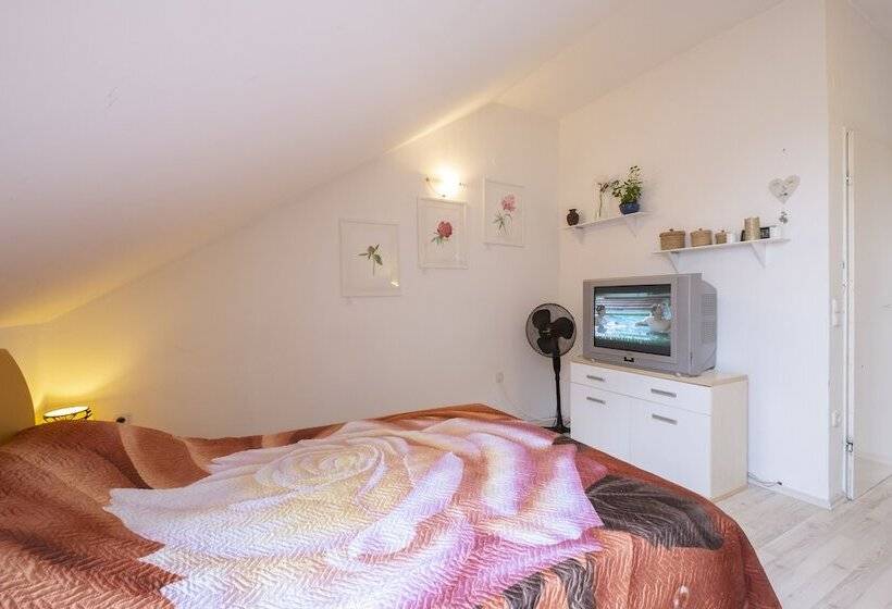 استودیوی استاندارد, Family Guesthouse Greenslo