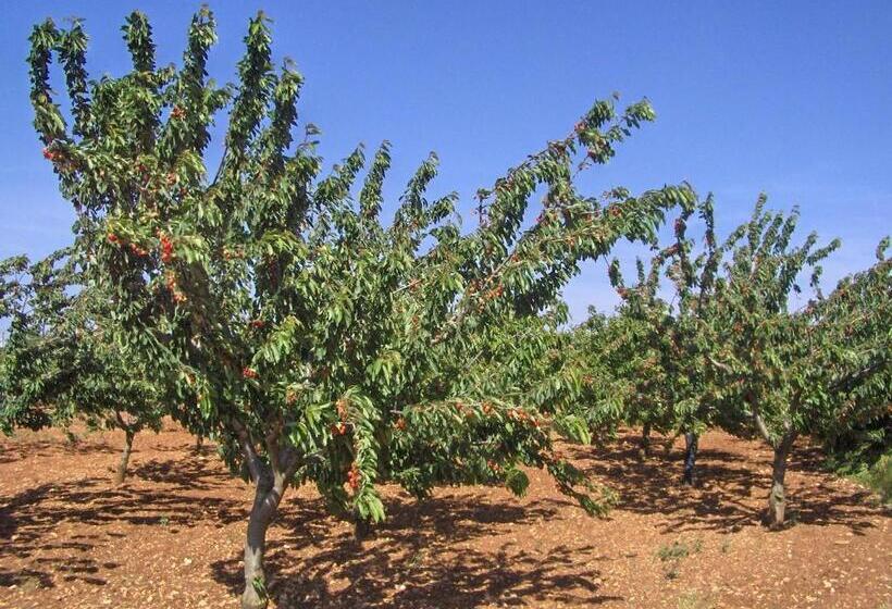 غرفة قياسية مطلّة علي حمام السباحة, La Dimora Gigante