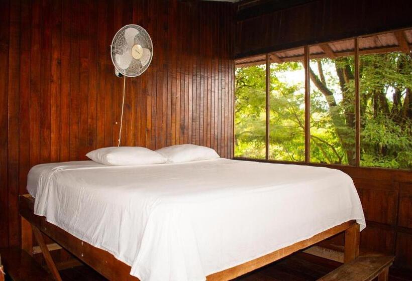 Семейный Номер Вид на Море, Hostel Plinio
