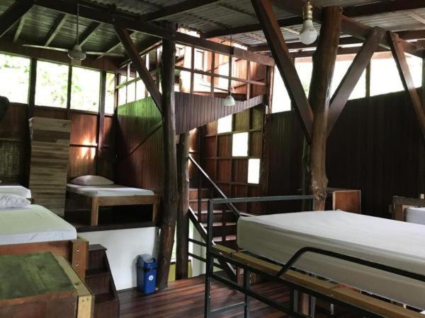 Кровать в Общей Комнате, Hostel Plinio
