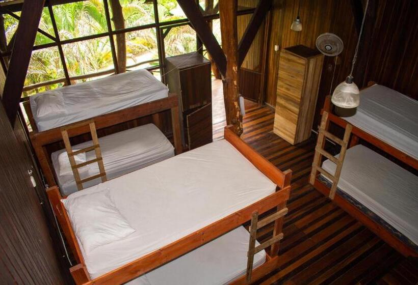 Кровать в Общей Комнате, Hostel Plinio