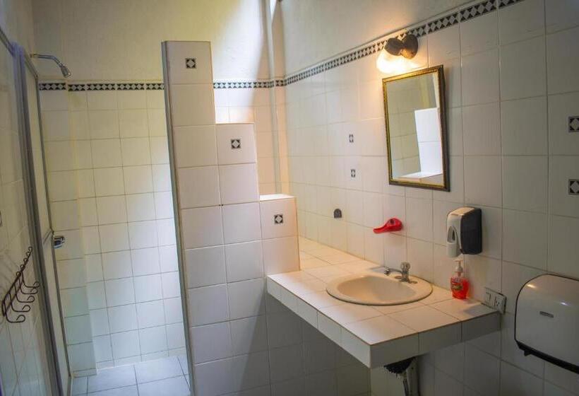 Номер Стандарт Совместная Ванная, Hostel Plinio