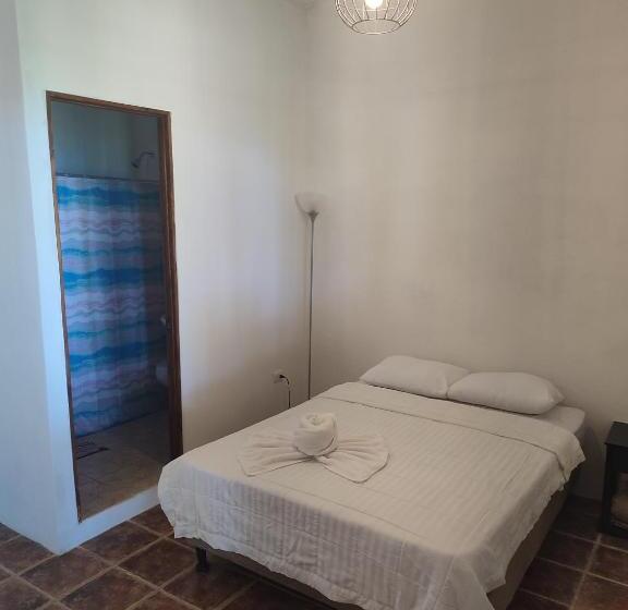 Четырехместный Номер Стандарт, Hostel Plinio