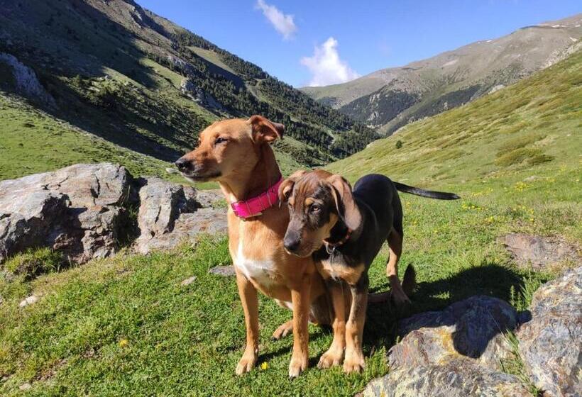Люкс, Vall de Núria
