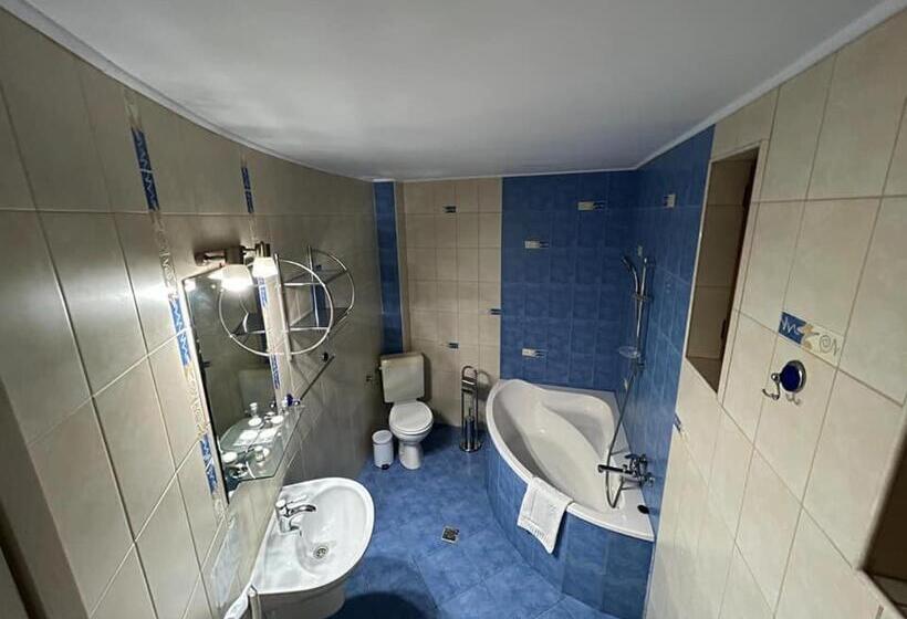 Superior Room Mountain View, Pensiunea Crescent Predeal