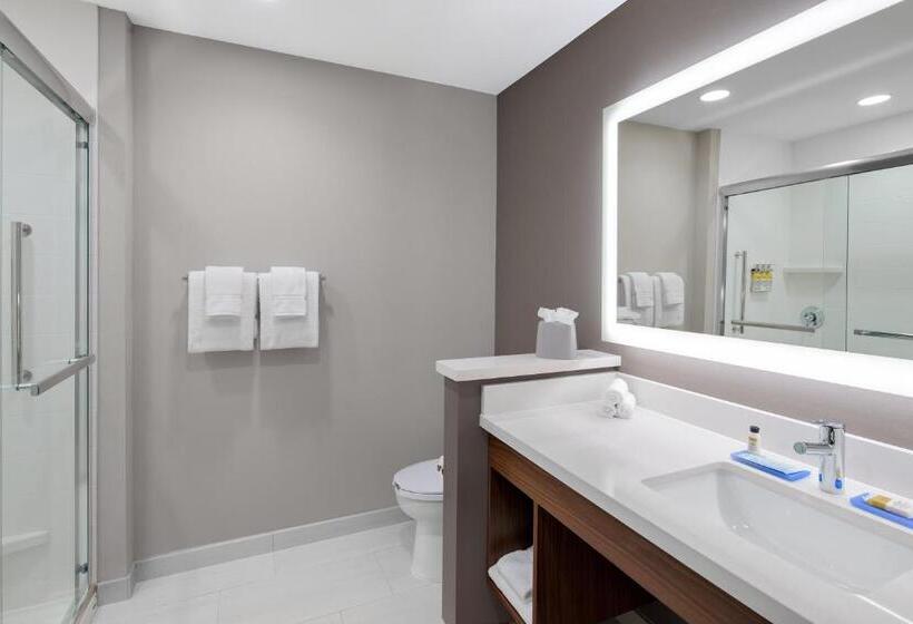 带大床的套房, Holiday Inn Express & Suites Lubbock Central   Univ Area, An Ihg
