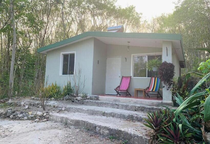 בית, חדר שינה 1, Casa Kaan Calakmul