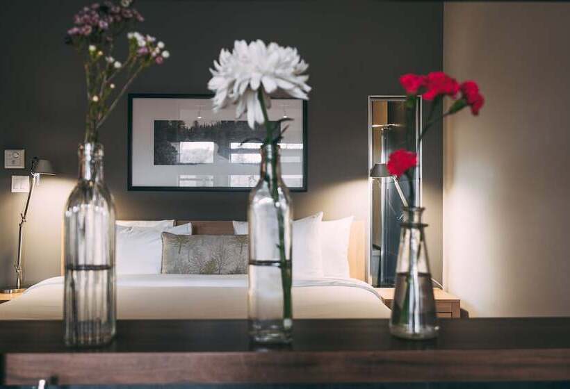 Студия Стандарт, Suites Sur Lac