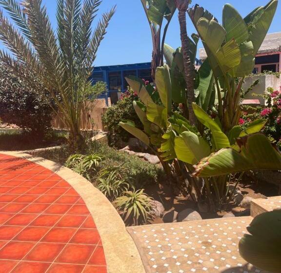 Студио Стандарт Вид на Сад, Mimid Dunes Beach