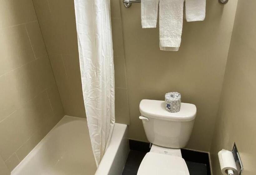 스탠다드 룸 킹사이즈 침대, Express Inn Newport News