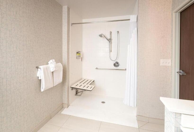 适合残疾人士使用的套间, Holiday Inn Express & Suites   Kalamazoo West, An Ihg