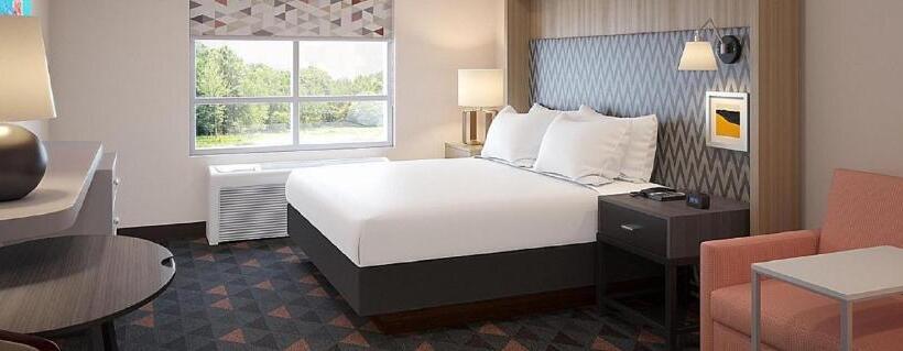 豪华套房, Holiday Inn Lexington   Hamburg, An Ihg