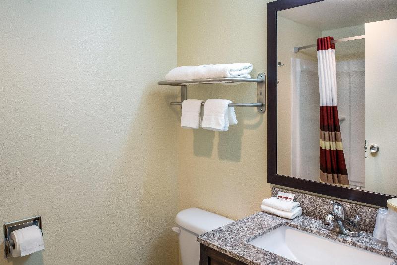 适合残疾人使用的标准间, Holiday Inn Lexington   Hamburg, An Ihg