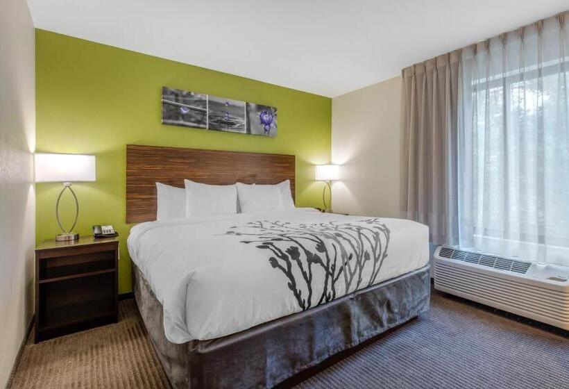 Стандартный Номер Кровать Кинг, Comfort Inn St Louis Airport