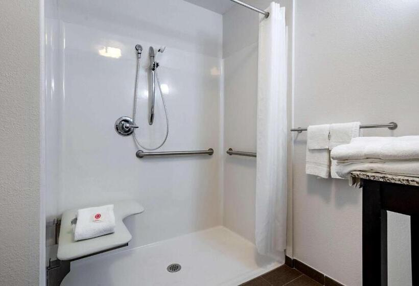 Номер Стандарт Кровать Кинг Адаптированный для Инвалидов, Comfort Inn St Louis Airport