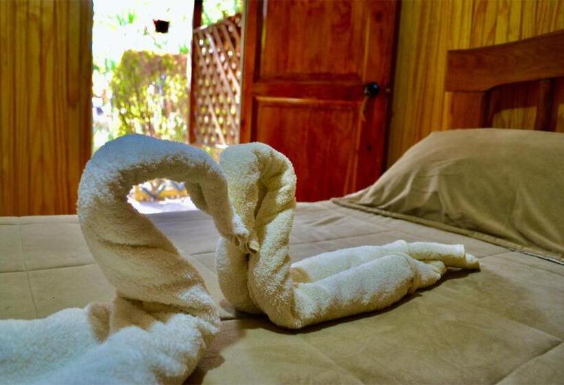 Номер Стандарт, Hostal Michel