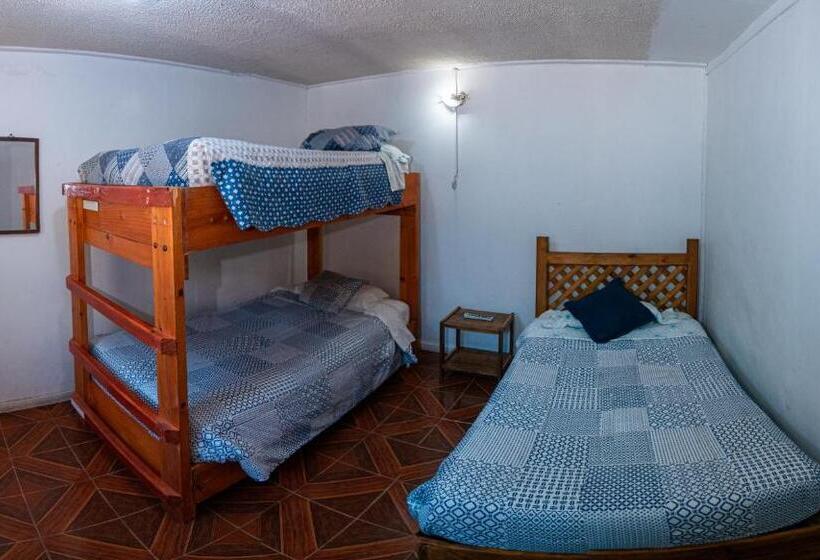 Кровать в Общей Комнате, Hostal Michel