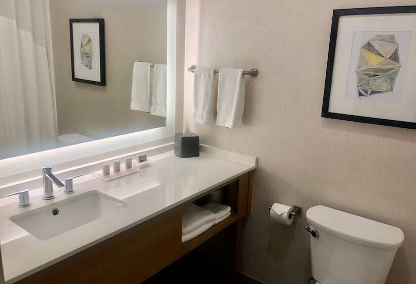 标准间, Holiday Inn & Suites Houston Nw   Willowbrook By Ihg