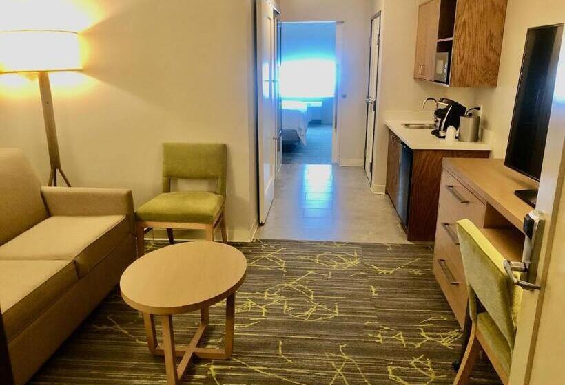 带大床的套房, Holiday Inn & Suites Houston Nw   Willowbrook By Ihg