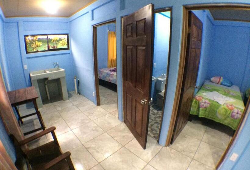 标准间, Green Macaw Hostel