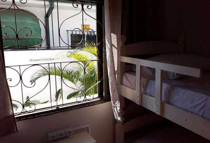 מיטה בחדר משותף, Casa Beatles Hostel Bauru