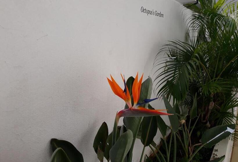 מיטה בחדר משותף, Casa Beatles Hostel Bauru
