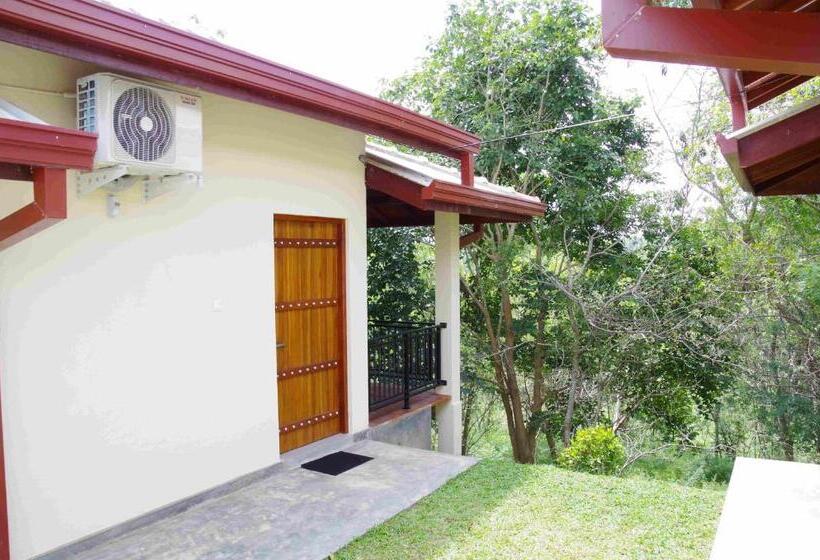 Quarto Deluxe com Sacada, Jungle Paradise