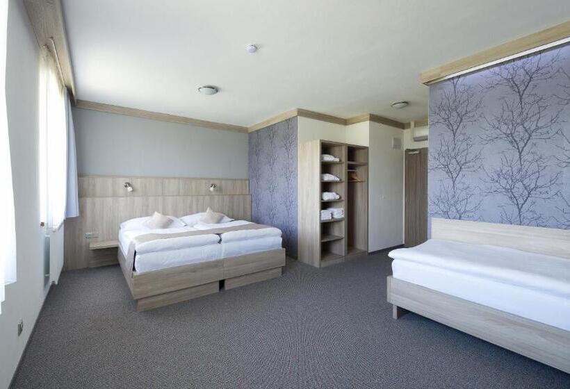 Номер Deluxe, Wellness Penzion Medličky