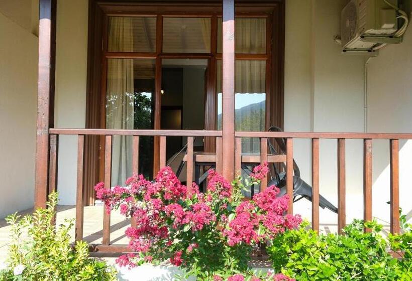 Family Suite, Cevizdibi
