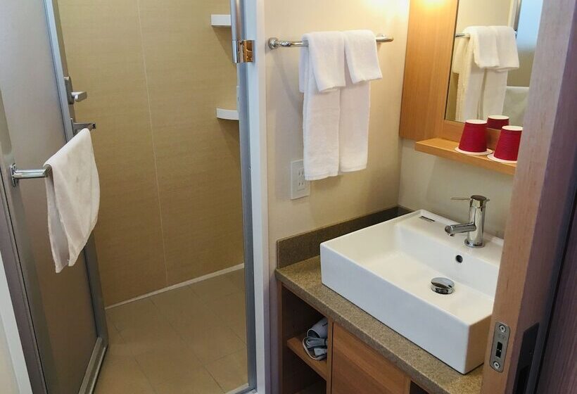Номер Superior, Red Roof Inn & Suites Osaka Namba Nipponbashi