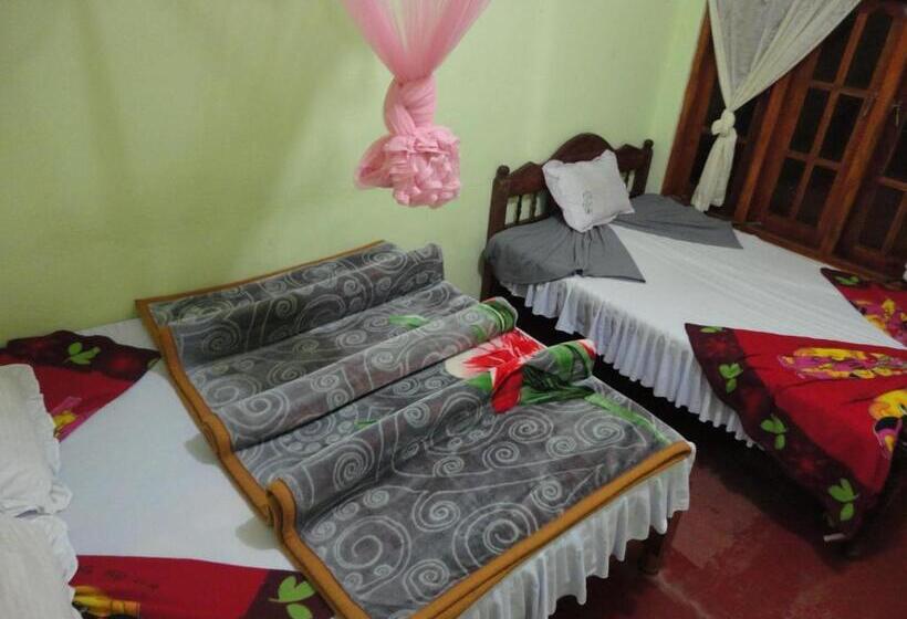 Номер Стандарт Трехместный, Belview Guest House