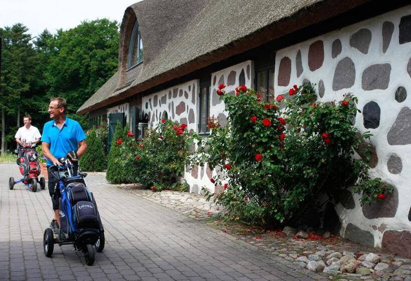 スーペリアールーム, Araslöv Golf & Resort
