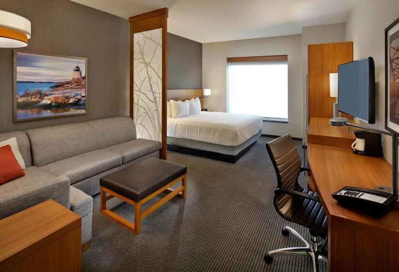 带大床的标准间, Hyatt Place Warwick/providence Airport