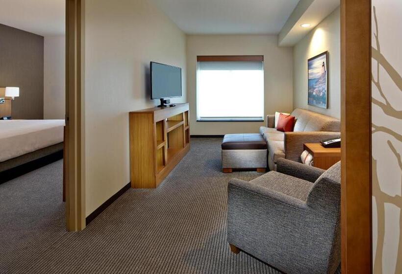带大床的套房, Hyatt Place Warwick/providence Airport
