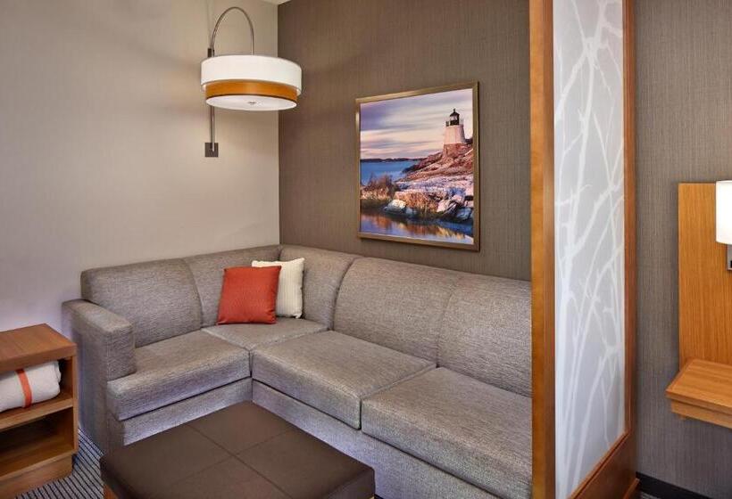 适合残疾人士使用的带超级大床的标准间, Hyatt Place Warwick/providence Airport