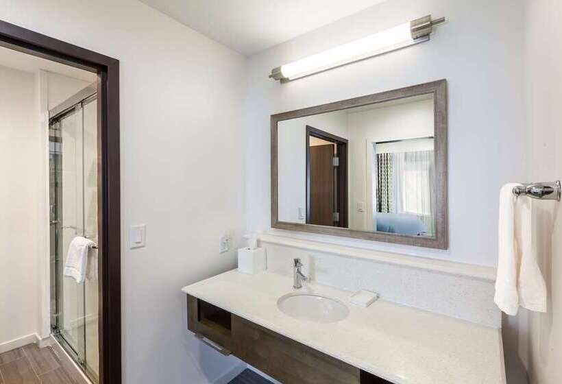 Номер Стандарт, Hampton Inn & Suites Burlington