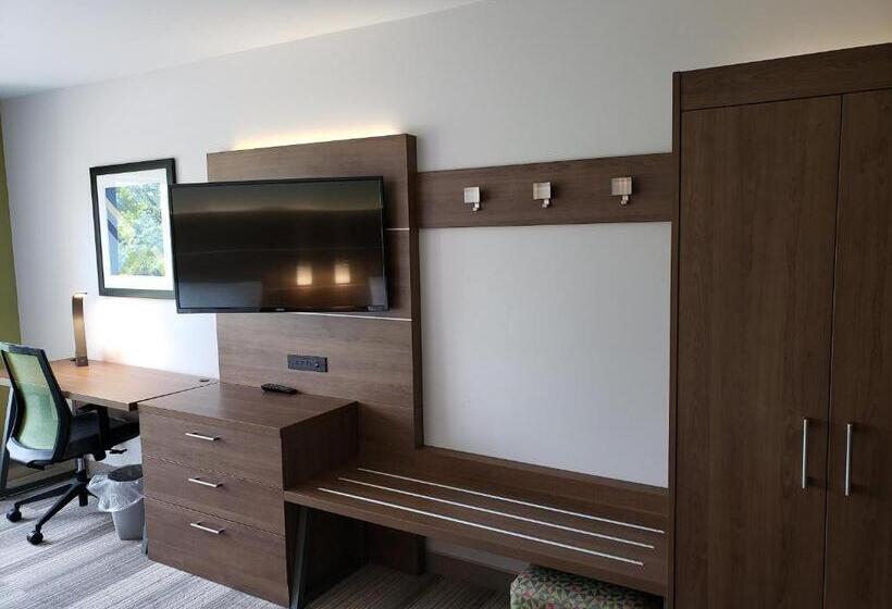 Номер Стандарт, Holiday Inn Express & Suites Nashville North   Springfield, An Ihg