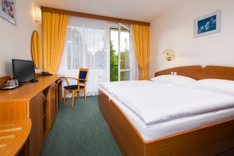 غرفة قياسية, Spa Resort Libverda   Hotel Nový Dům
