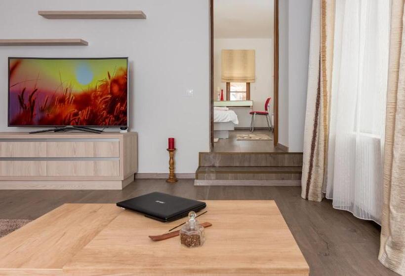 آپارتمان لوکس 1 خوابه, Casa Nicolae Luxury Suites