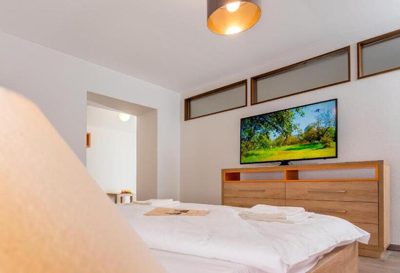 آپارتمان لوکس 1 خوابه, Casa Nicolae Luxury Suites