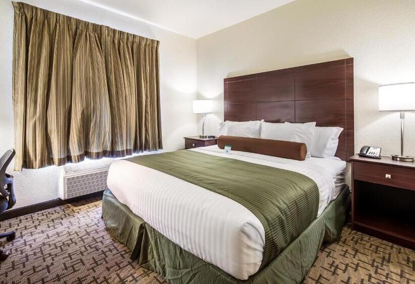 اتاق استاندارد با تخت بزرگ برای معلولان, Cobblestone Hotel & Suites   Victor