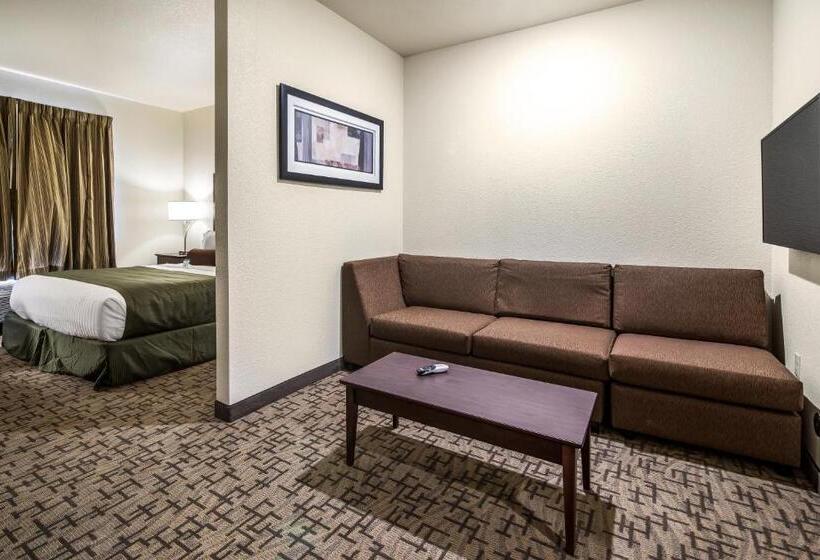 استودیوی استاندارد, Cobblestone Hotel & Suites   Victor