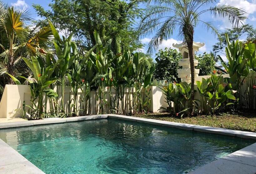 스탠다드 스튜디오 풀장 전망, Soulshine Bali