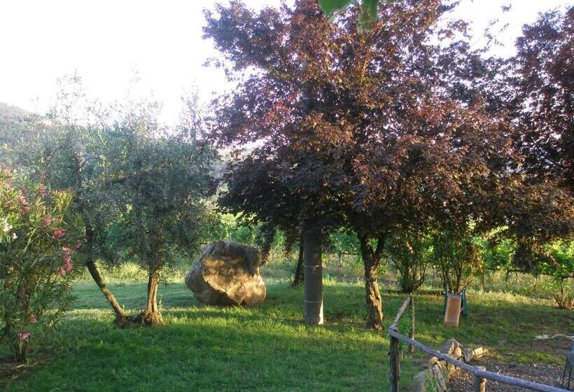 Номер Стандарт, Agriturismo Biologico Poggiopiano