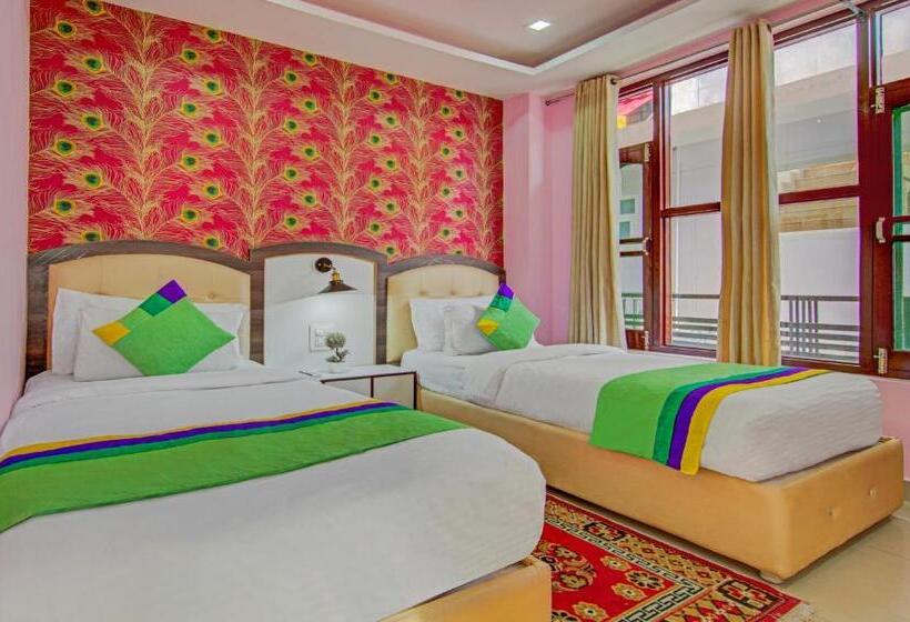 Номер Superior, Treebo Roshan House With Valley View