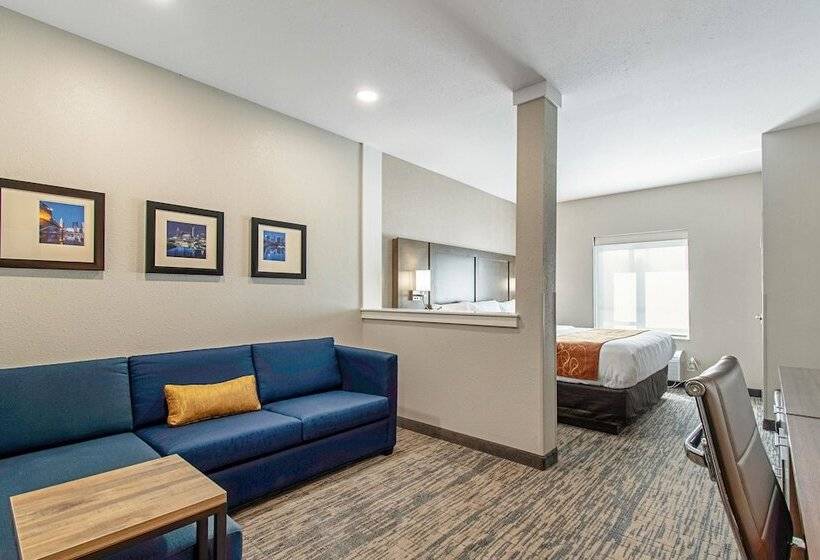 Люкс Адаптированный для Инвалидов, Comfort Suites Grove City  Columbus South