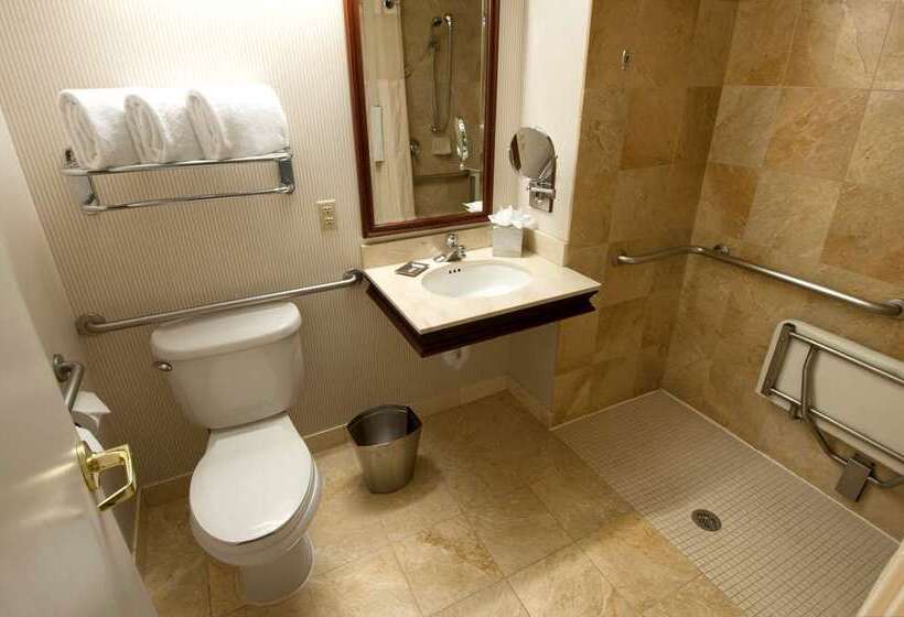 Номер Deluxe, Hilton Pilar