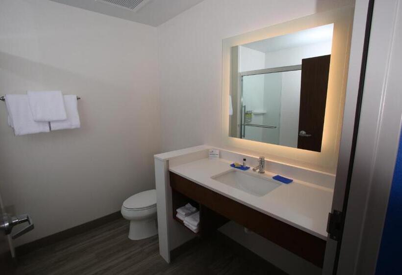 장애인을 위한 킹사이즈 침대 스탠다드 룸, Holiday Inn Express   Mccook, An Ihg
