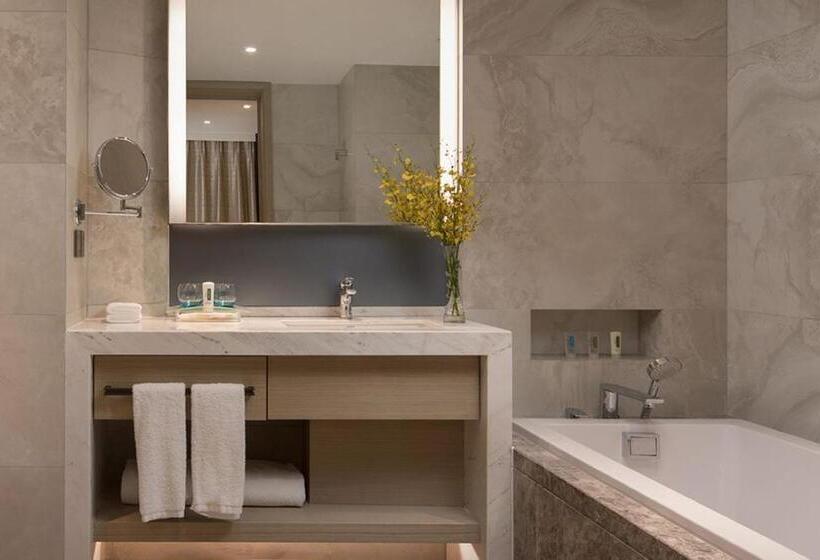 سوئیت با تخت بزرگ, Holiday Inn   Nanjing South Station, An Ihg